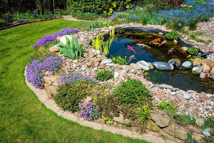 Simple Guide to Choose the Best Filter for Natural Ponds